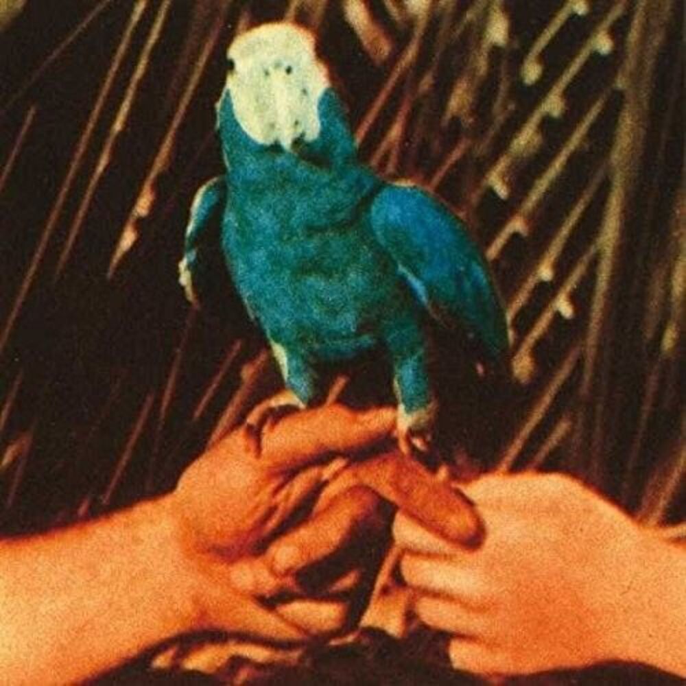 Andrew Bird - Are You Serious  LP LP